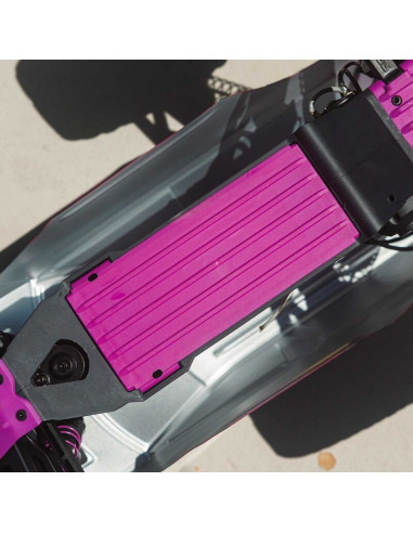 1-10 GORGON 2WD RTR Brushed Monster Truck...