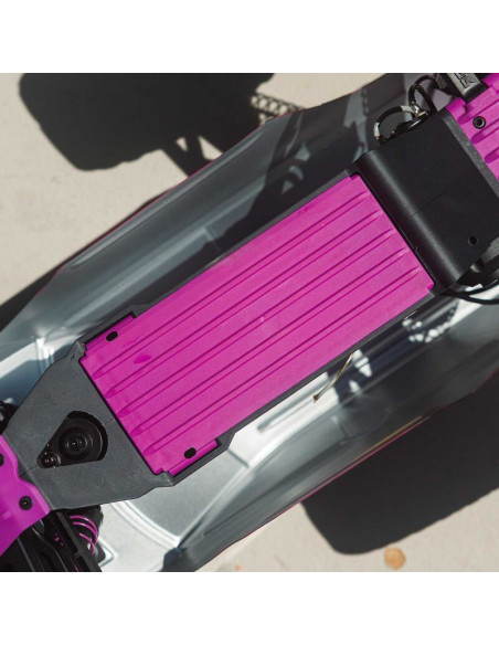 1-10 GORGON 2WD RTR Brushed Monster Truck (Battery & Charger Included)  Purple