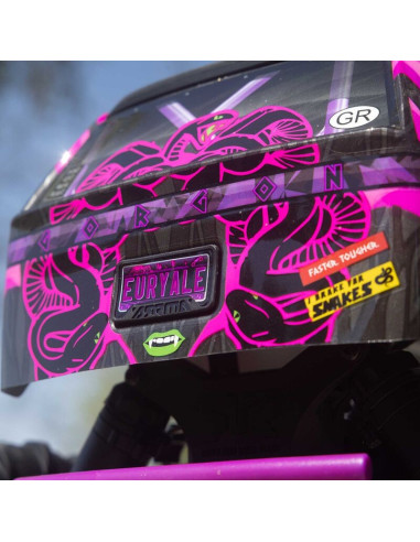 1-10 GORGON 2WD RTR Brushed Monster Truck...