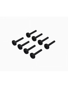 Hex Head Screw M2.5x15mm (8)