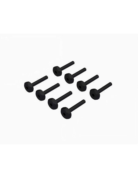 Hex Head Screw M2.5x15mm (8)
