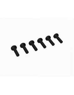 Flat Head Screw M2.5x10mm (6)