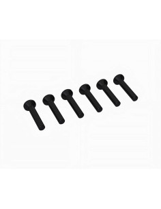 Flat Head Screw M2.5x14mm (6)