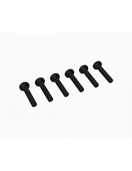 Flat Head Screw M2.5x14mm (6)