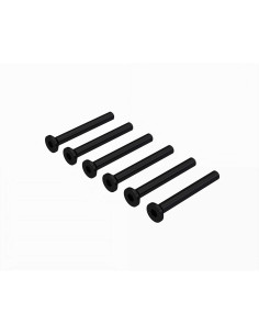 Flat Head Screw M2.5x22mm (6)