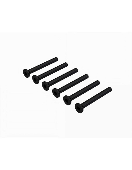 Flat Head Screw M2.5x22mm (6)