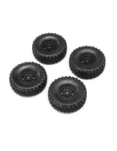1.0 Black Rhino Primm &...