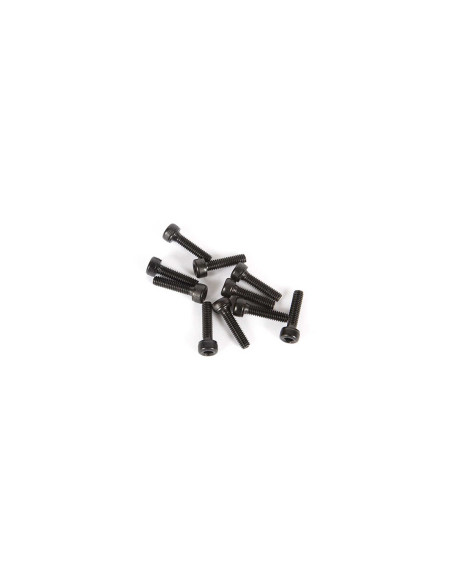 M2.5 x 10mm Cap Head Screw (10)