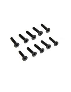 M3 x 14mm Flat Head Screw (10)