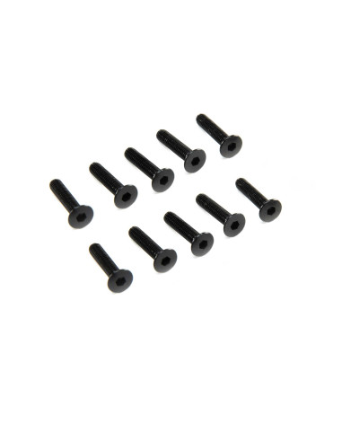 M3 x 14mm Flat Head Screw (10)