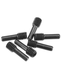 Screw Shaft M4x2.5x12mm (6)