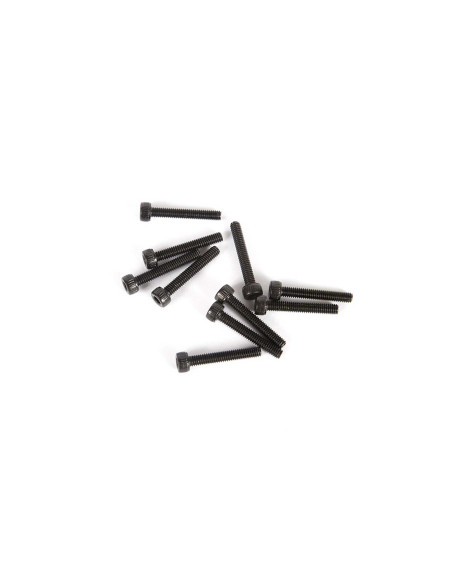 M2.5 x 16mm Cap Head Screw (10)