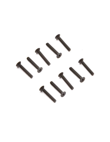 M2 x 12mm Flat Head Screw (10)