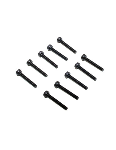 M2 x 14mm Cap Head Screws (10)