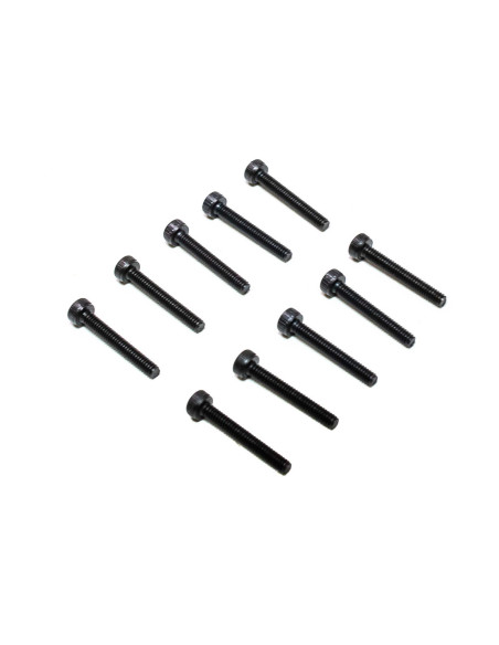 M2 x 14mm Cap Head Screws (10)