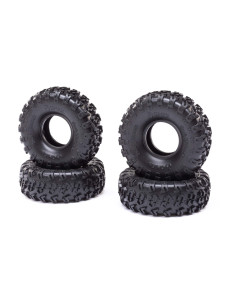 1.0 Rock Lizards Tires...