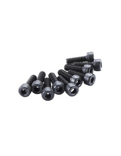 Cap Head Screw 4x12mm (10)