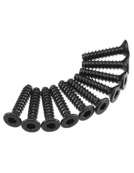 Hex Socket Tap Flat Head M2.5x12mm (10)