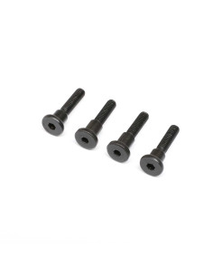 Hinge Screw  Truggy Cage...