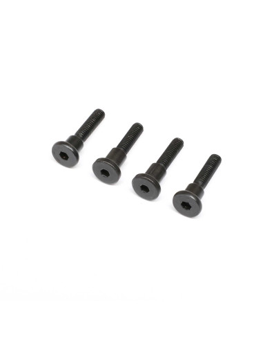 Hinge Screw  Truggy Cage  SCX6 Honcho