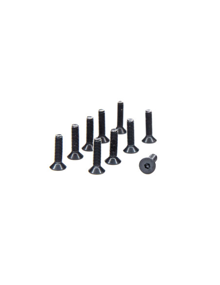 M2.5 x 10mm Flat Head Screws (10)
