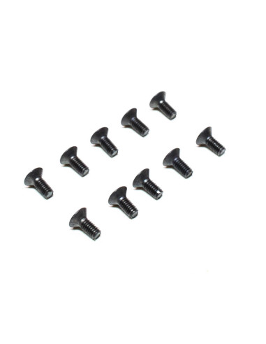 M2.5 x 6mm Flat Head Screws (10)