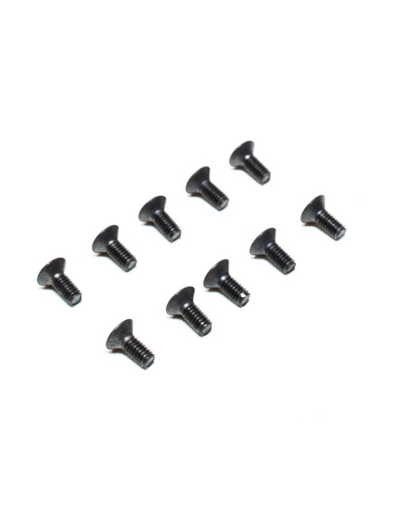 M2.5 x 6mm Flat Head Screws (10)