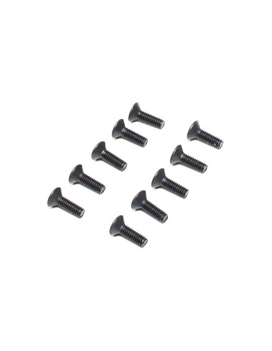 M2.5 x 8mm Flat Head Screws (10)