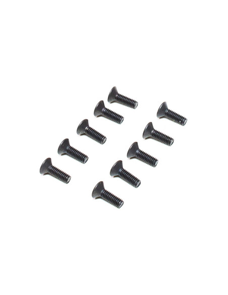 M2.5 x 8mm Flat Head Screws (10)