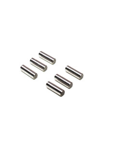 M2.5 x 8mm Pins (6)