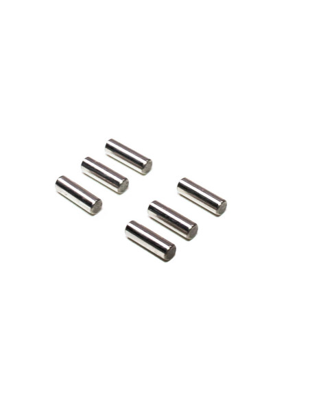M2.5 x 8mm Pins (6)