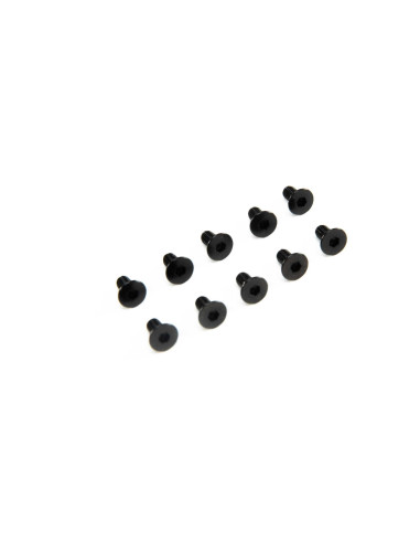 M3 x 6mm Flat Head Screw (10)