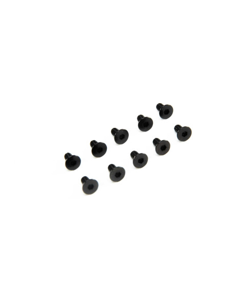 M3 x 6mm Flat Head Screw (10)