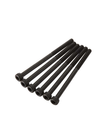 Hex Socket Cap Head 3x45mm (6)