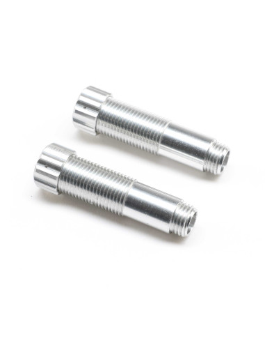 Aluminum Shock Body 11x43mm (2): Capra 1.9 UTB...