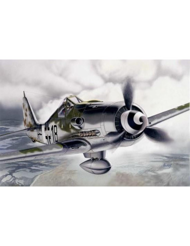 1312 CAZA FOCKE-WULF FW 190 D-9 1/72