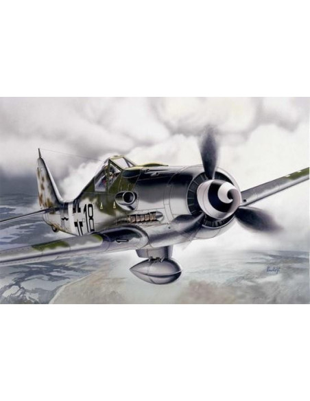 1312 CAZA FOCKE-WULF FW 190 D-9 1/72