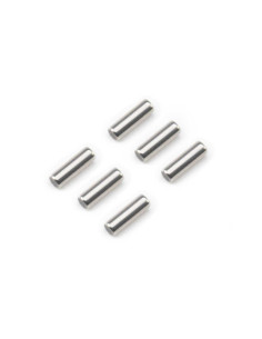 M2.5 x 8mm Pins (6)