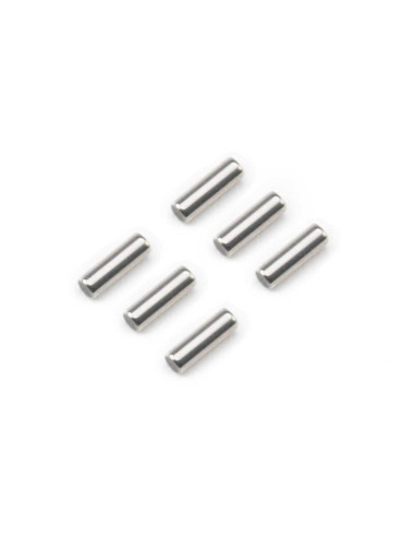 M2.5 x 8mm Pins (6)