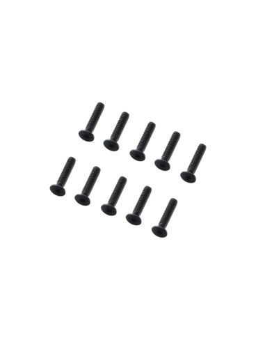 M2 x 12mm Flat Head Screw (10)
