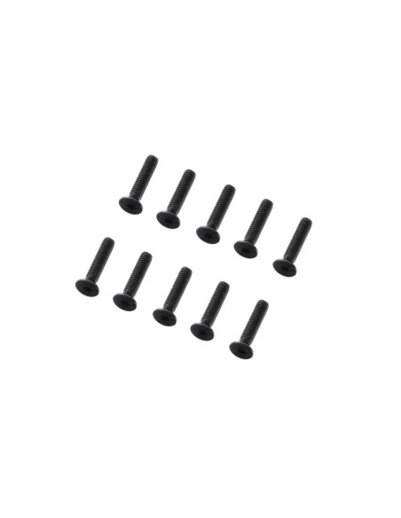 M2 x 12mm Flat Head Screw (10)