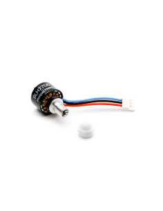 Brushless Motor  Reverse...