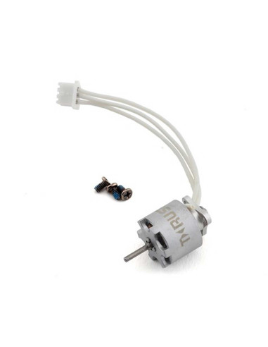 Replacement motor: Inductrix BL