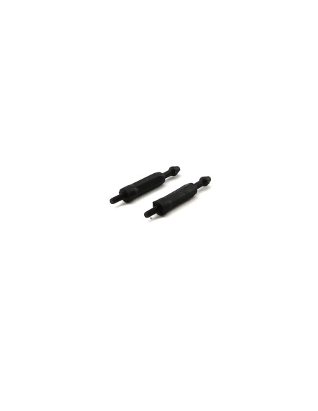 Canopy Mount Set (2): 200 S