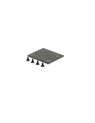 Gyro Mount: 300 CFX