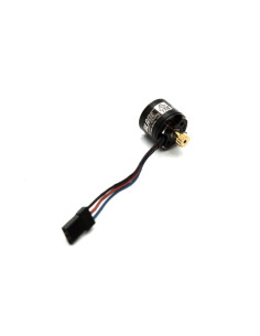 Brushless Main Motor:...