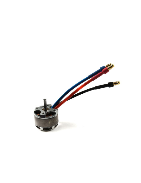Main Motor  3980Kv: 200 S