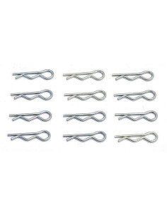 TEAM ASSOCIATED_21173