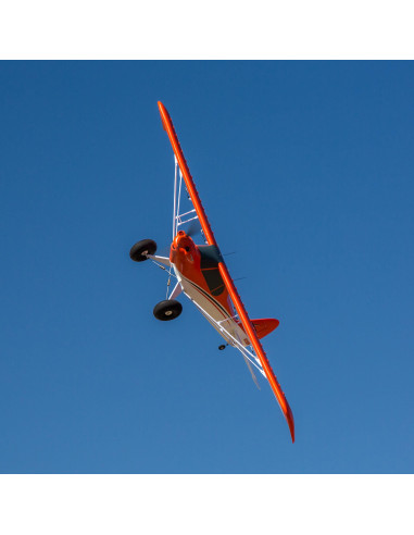 Carbon-Z Cub SS 2.1m BNF Basic with AS3X and...