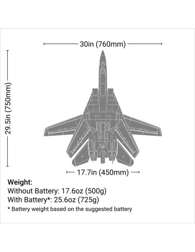F-14 Tomcat Twin 40mm EDF BNF Basic